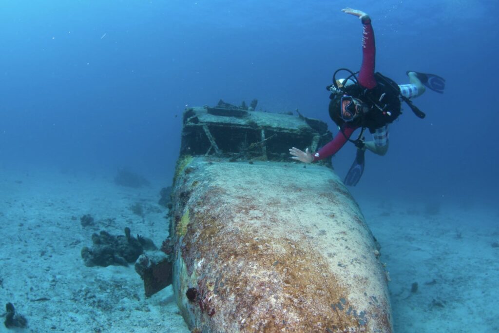 Great Dog Island Airplane Wreck 1993