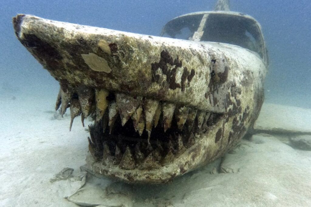 Sharkplane Dive Site at Dog Island, British Virgin Islands