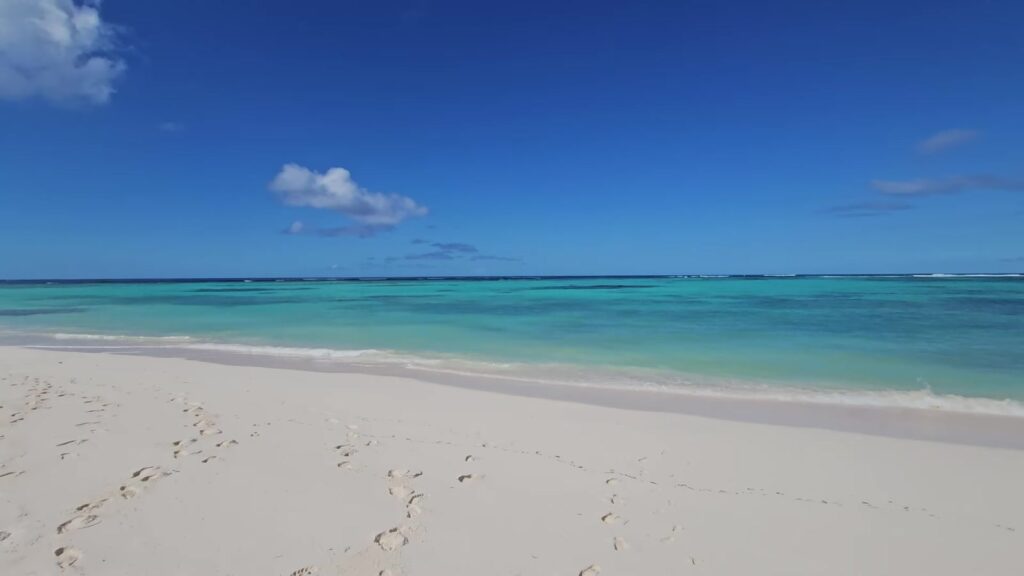 Cow Wreck Beach, Anegada, at midday, November 2025