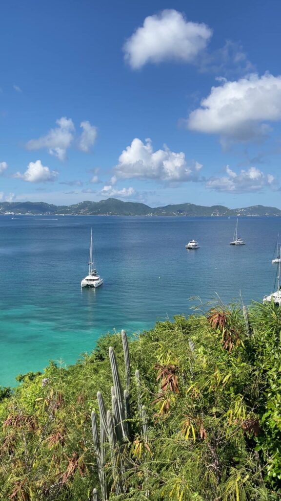 Yachts at anchor off Peter Island, seen from the hillside on the golf-cart tour, November 2025