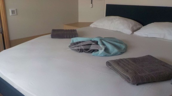 Image of DREAM MAYREAU yacht #13