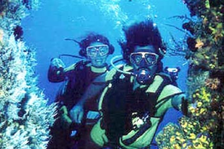 Belline II - Diving