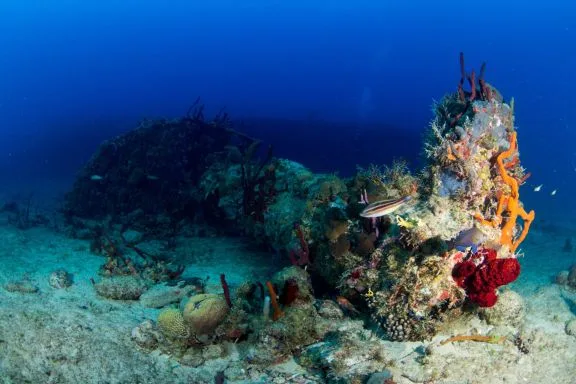 The Rhone, BVI
