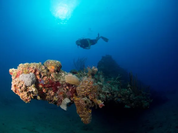 A scuba diver swims over the bow of the ship wreck HMS Rhone. The RMS Rhone is a sunken UK Royal Mail ship that wrecked in a hurricane in 1867 killing 123 people. It is now a hotspot for divers who come to explore the well-preserved wreckage, teeming with marine life.