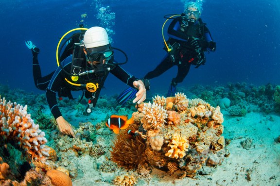 Alice in Wonderland Dive Site at Ginger Island, British Virgin Islands