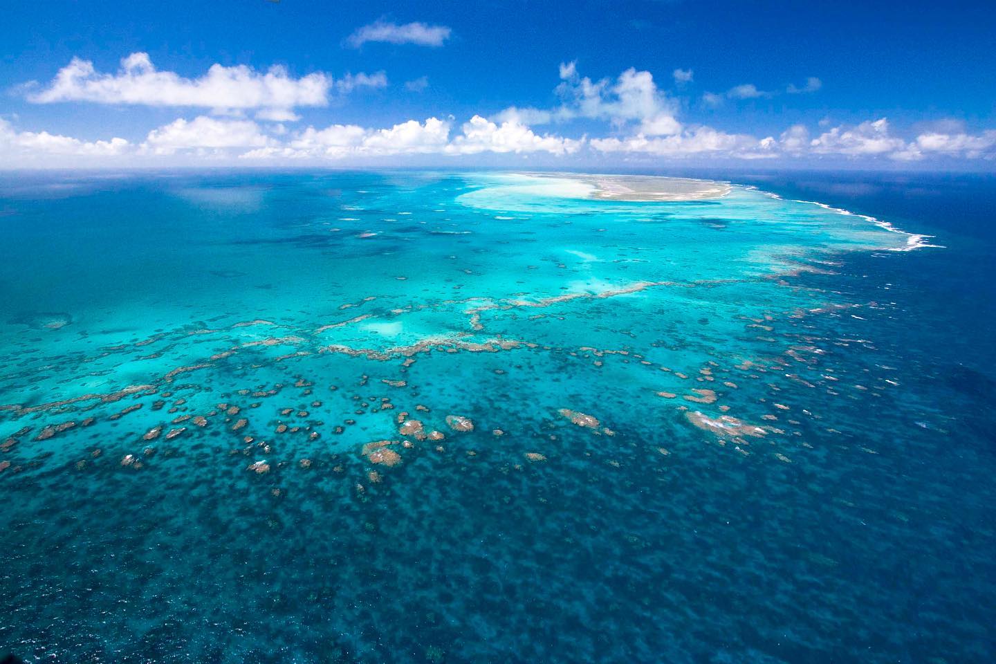 Anegada Island reef