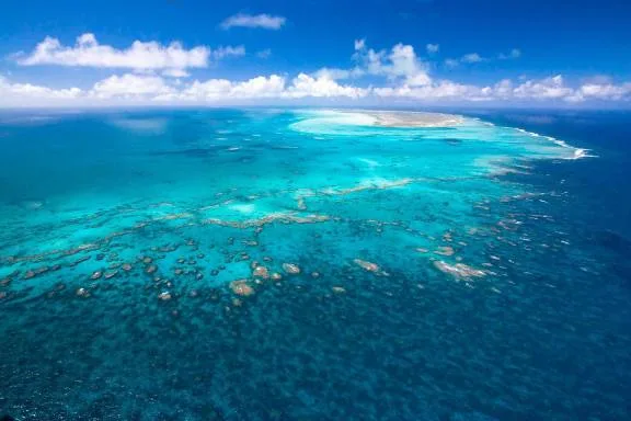 Anegada Barrier Reef, BVI