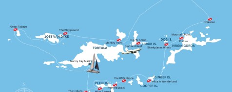 Top 10 Best BVI Dive Sites to Visit on Your SCUBA Dive Charter