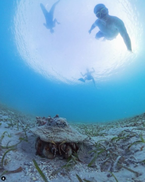 Snorkel with Justified Horizons