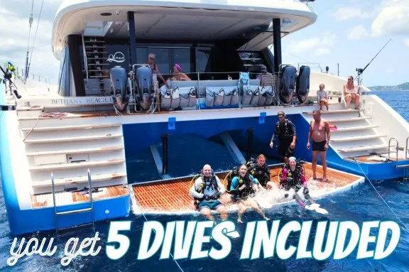 You get 5 dives included on Catamaran Ohana