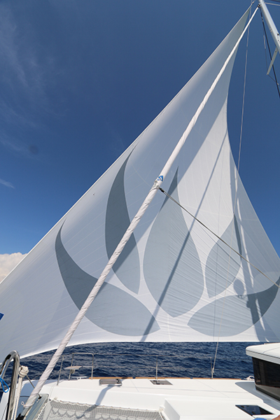 Catamaran LOTUS - Sailing