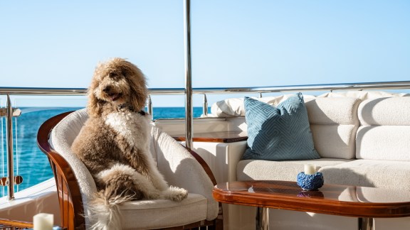 Image of SECOND LOVE yacht #19