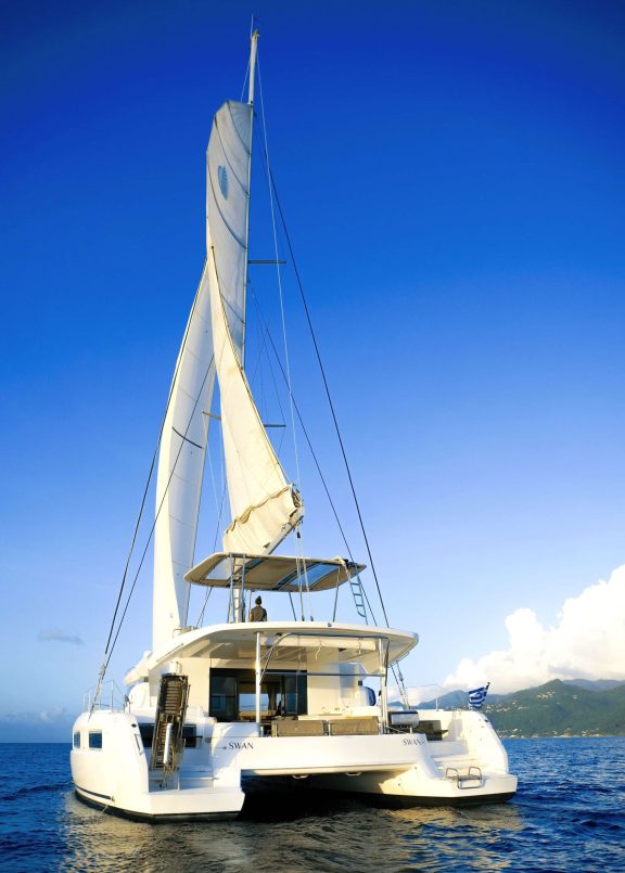 Go sailing with Swan!