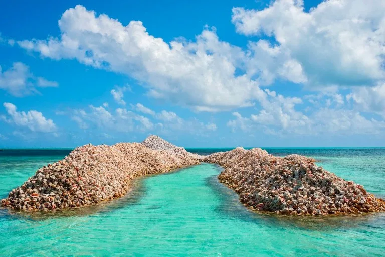 Anegada