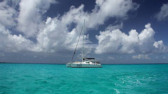 Image of BELLINE II yacht #4