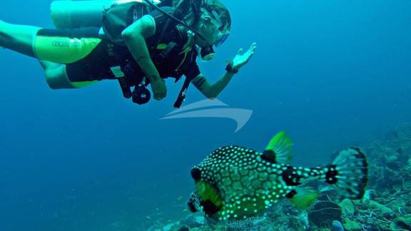 Plenty of diving opportunities