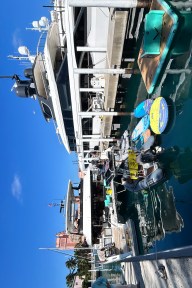 Real Yacht Image from Review