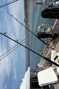 Real Yacht Image from Review