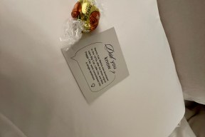 Real Yacht Image from Review