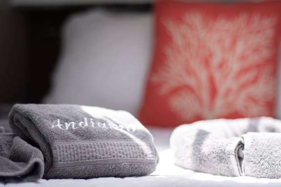 Image of ANDIAMO yacht #16