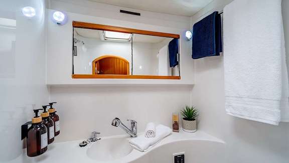 Guest head and shower