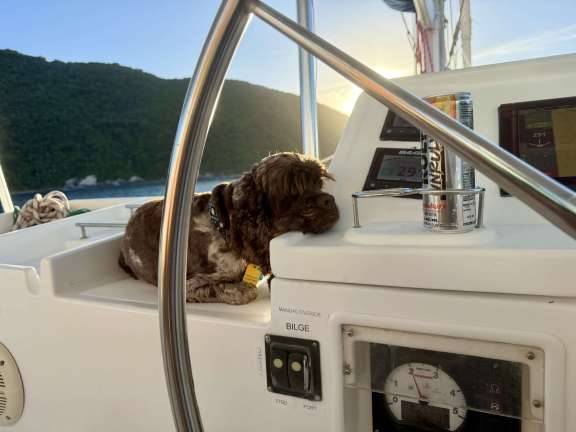 Image of NEON MOON yacht #16