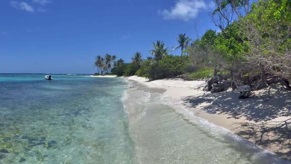 Relaxing in calm waters