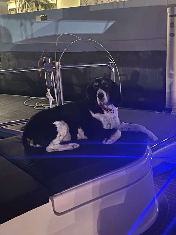 Image of STELLA BLUE yacht #18