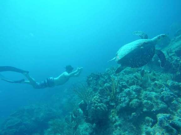 Image of FOXY LADY yacht #18