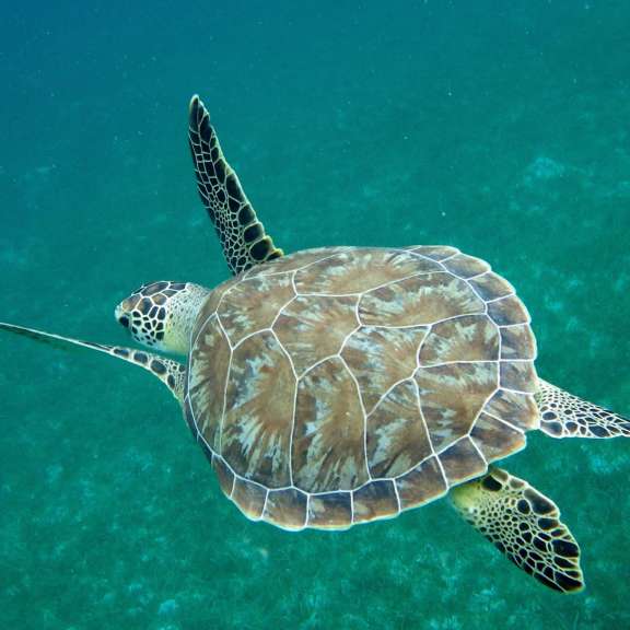 Image of PARADIGM SHIFT yacht #10