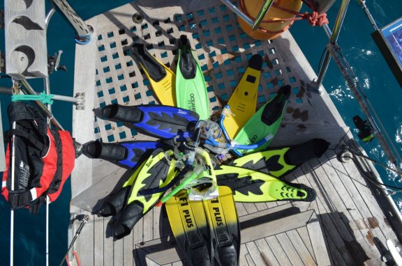 Image of EMILY MORGAN yacht #17