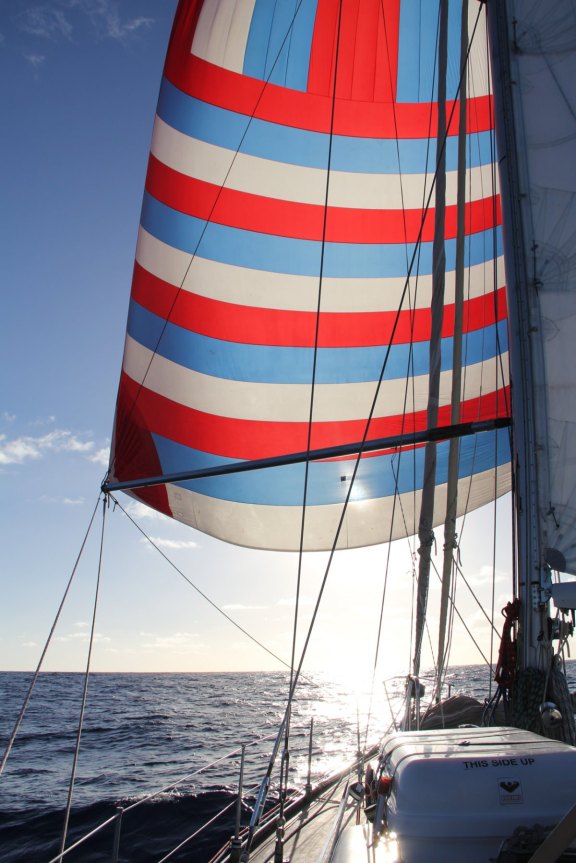 Image of EMILY MORGAN yacht #18