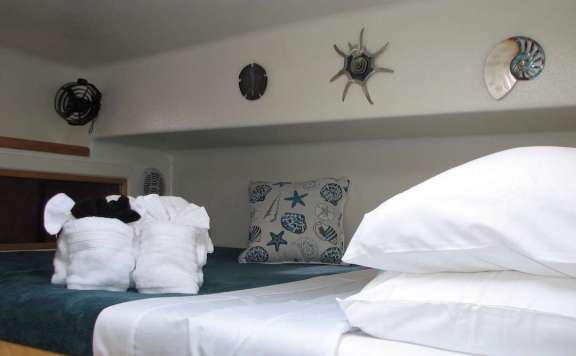 Image of TURQUOISE TURTLE yacht #9