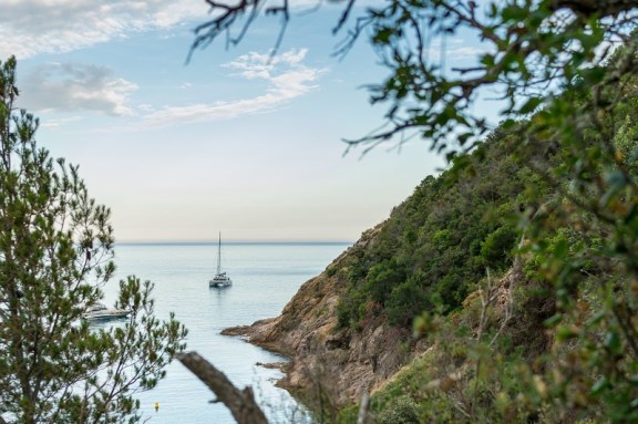 Image of ALLENDE yacht #12