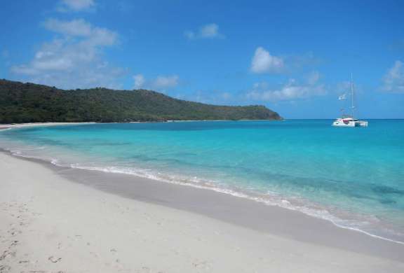 Allende at Prickley Pear