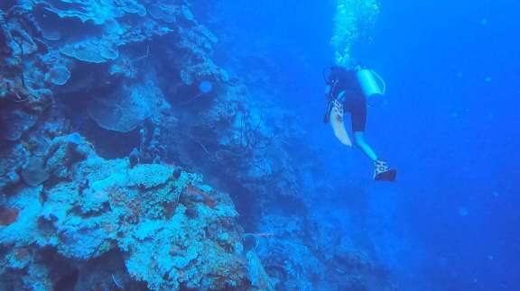 Image of QUEST yacht #14