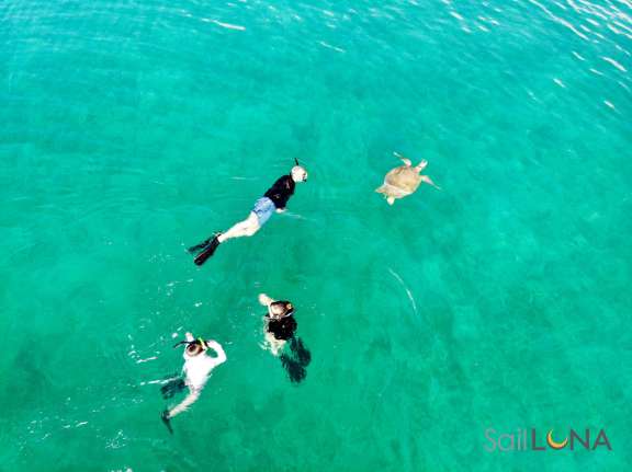 You will get to meet some of our friends!