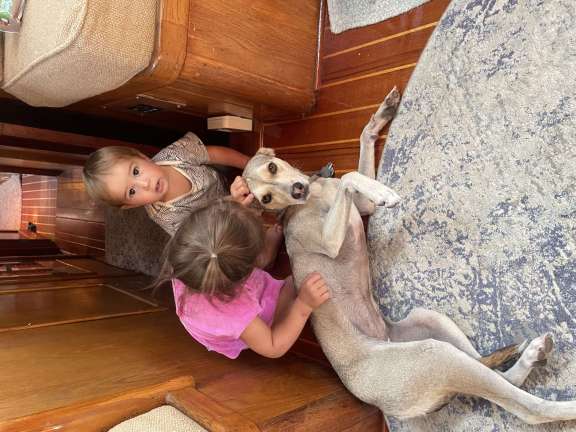 Image of KAI yacht #19