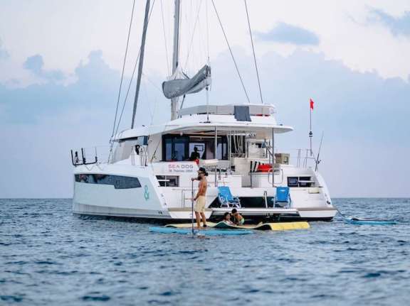 Image of SEA DOG yacht #11