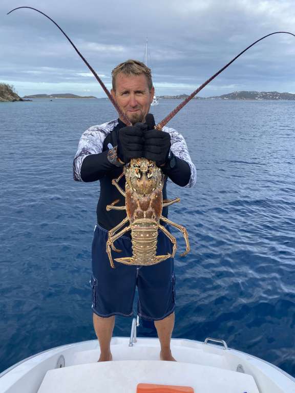 Lobster caught fresh!