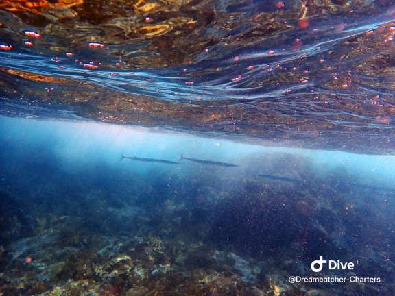 Lets get underwater!!