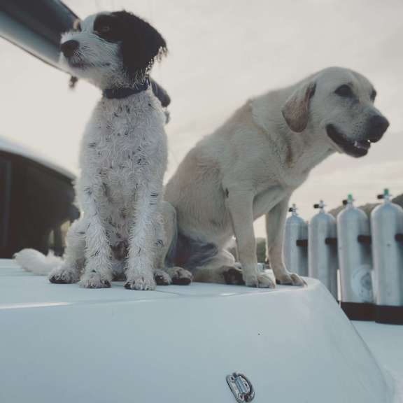 Parker & Daisy - 1st Mates