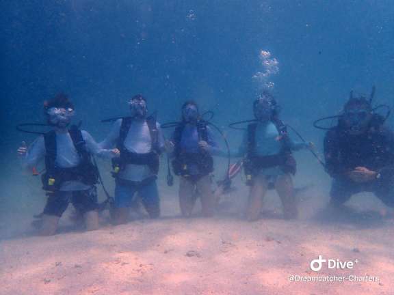 Scuba instruction offered ($)
