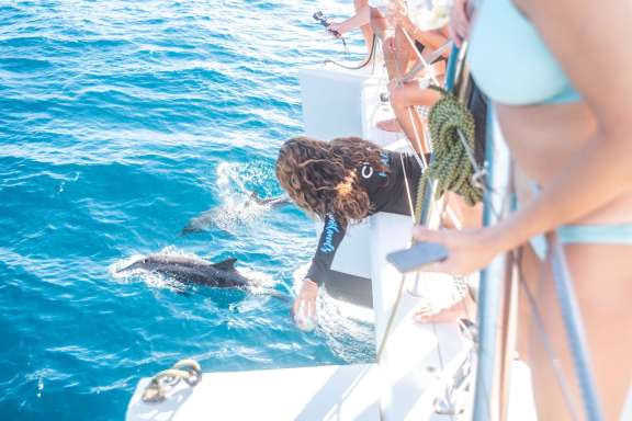 Image of RESPITE AT SEA yacht #12