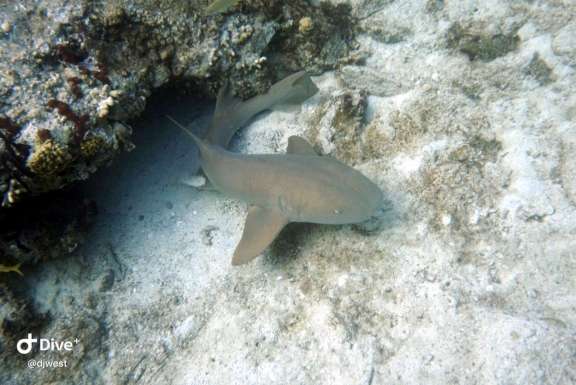 Image of CHAOS INTERRUPTED yacht #14