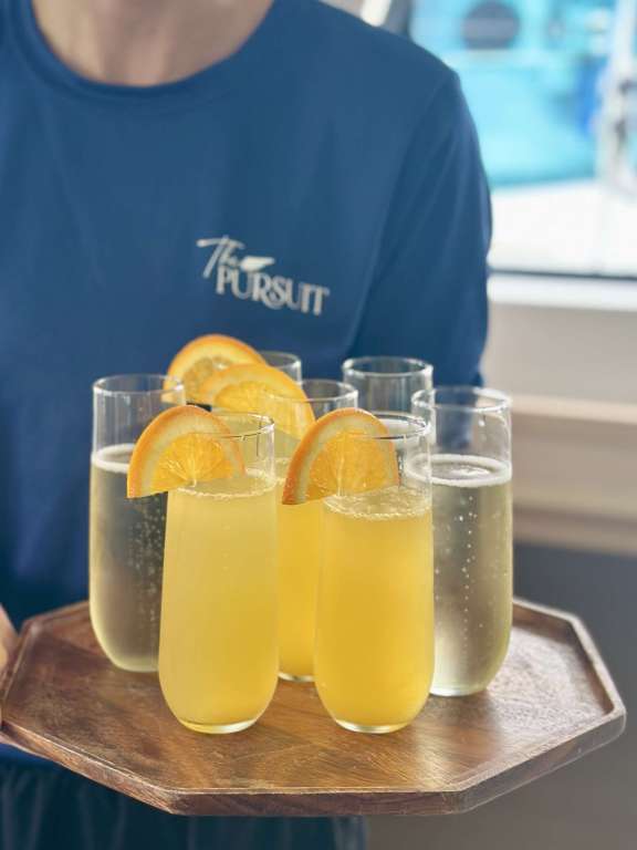 Image of THE PURSUIT yacht #17