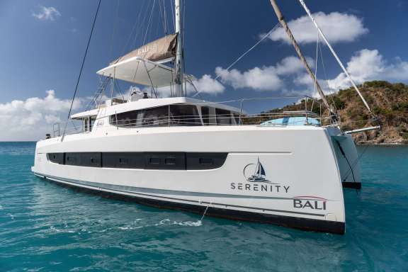 Image of SERENITY 4.8 yacht #16