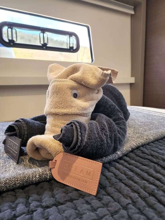 Image of SERENITY 4.8 yacht #7