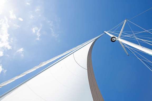 .. and the Local Visitors!!