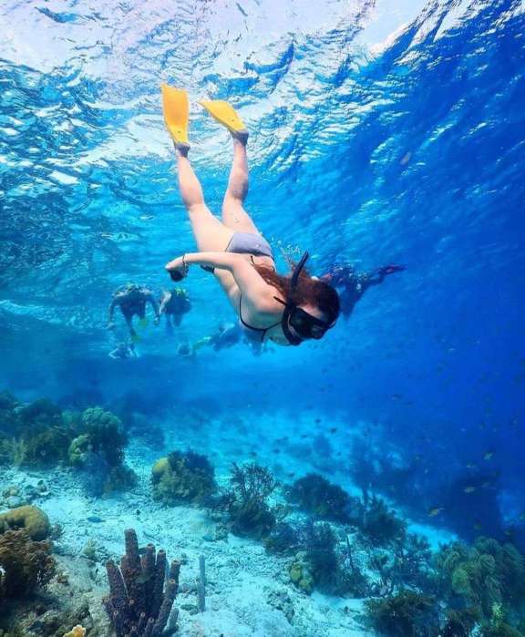 Image of Serenity yacht #15